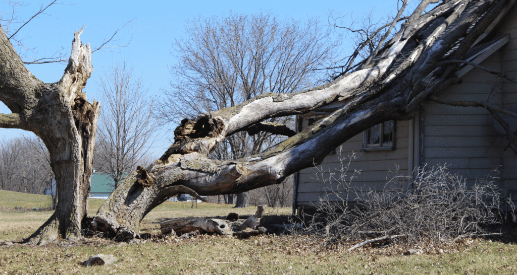 Storm Damage Restoration Services in Brookville