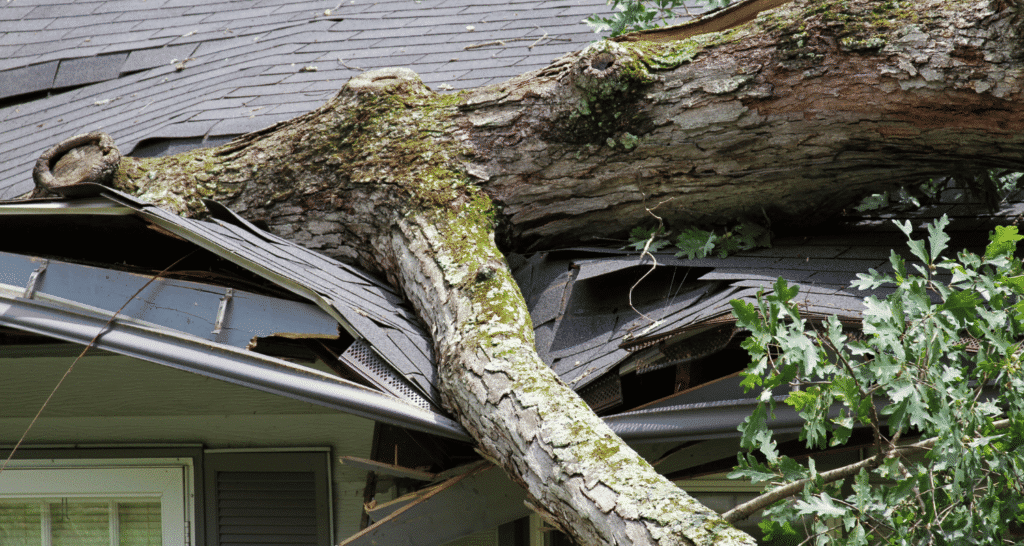 Storm Damage Restoration Services in Englewood