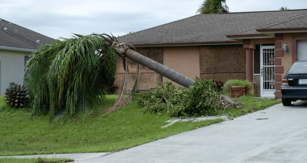 Storm Damage Restoration Services in Lebanon