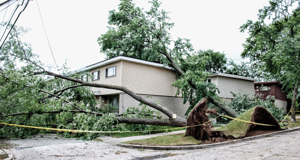 Storm Damage Restoration Services in Yellow Springs