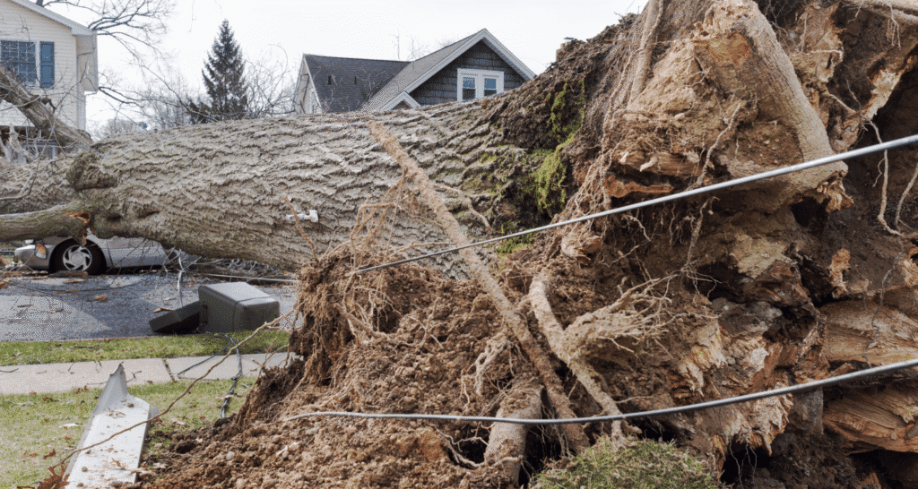 Storm Damage Restoration Services in Monroe, OH