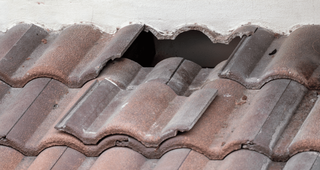 Storm Damage Restoration Services in Tipp City, OH