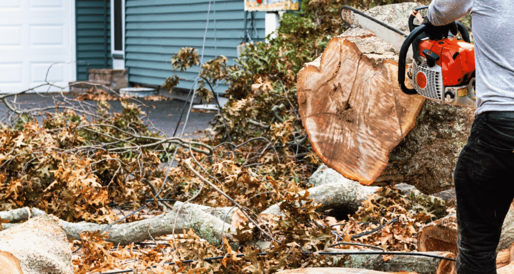 Storm Damage Restoration Services in Vandalia, OH